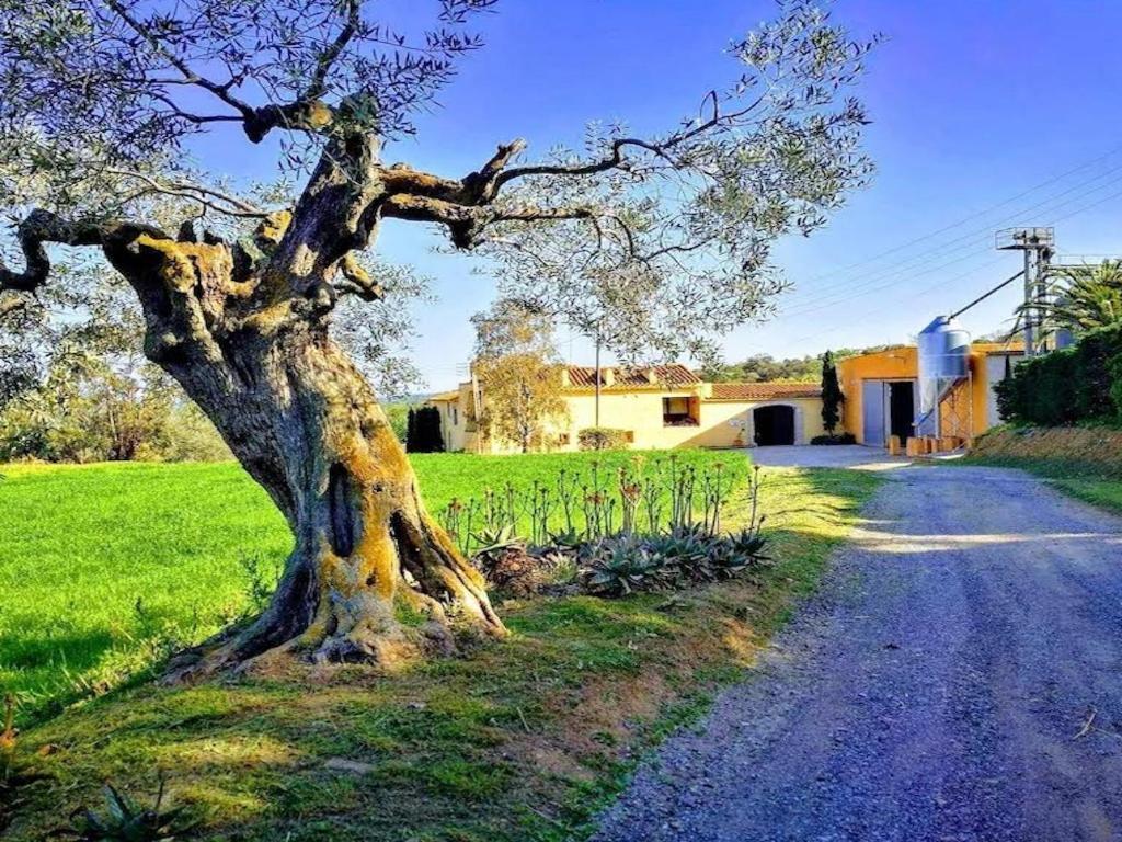 Rural Mas Hortus Villa Girona Luaran gambar